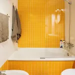 דירה Loft